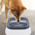 Charger l'image dans la visionneuse de la galerie, Abreuvoir pour chien